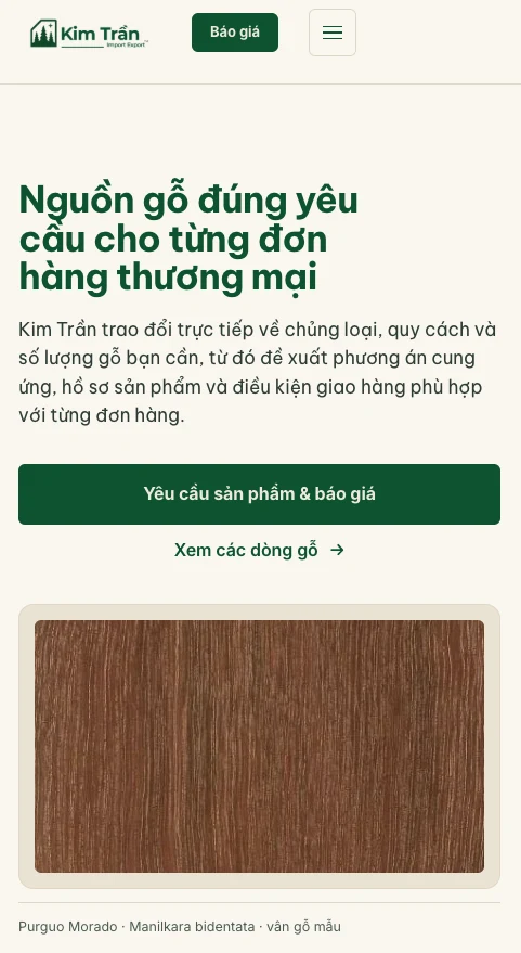 Website Kim Trần hiện tại trên điện thoại