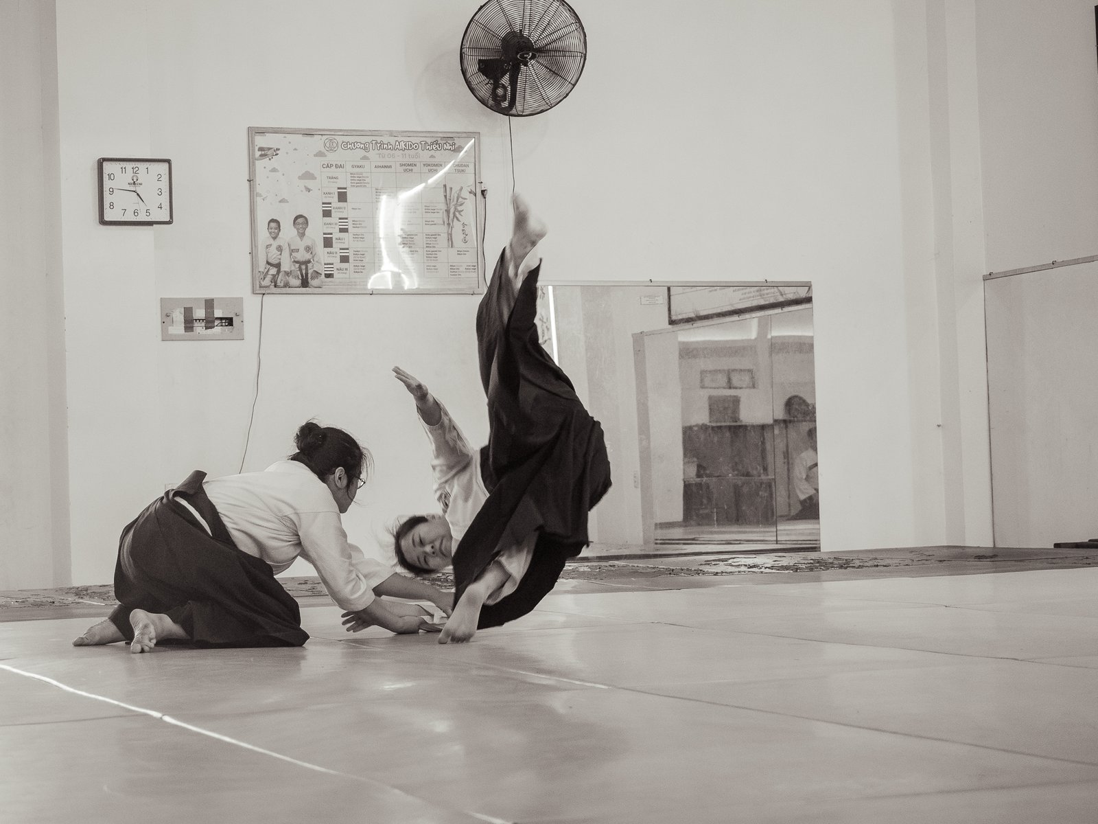 AIkido Thanh Thai 2025