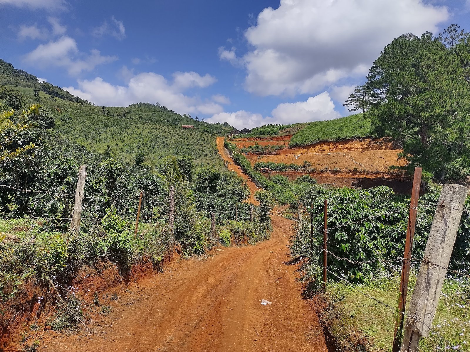 Kaitago - Dalat trail 2020